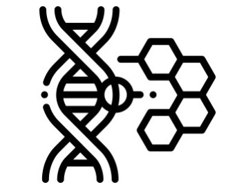 Hygiénique et certifié NSF